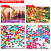 Full Square Diamond 5D DIY Diamond Painting 3D Cross Stitch Mosaic Rhinestone Home Decoration Gift